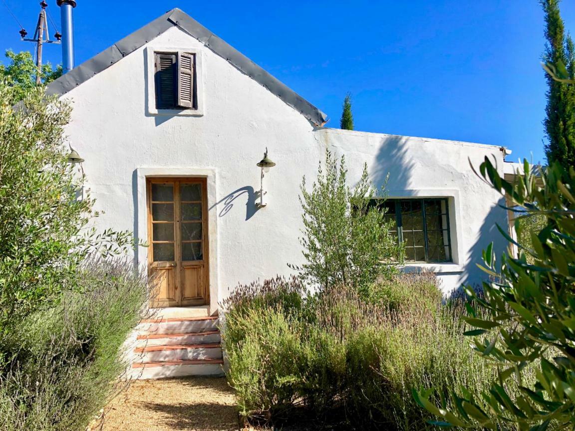 Designer Farm Cottage On Farm 弗朗斯胡克 外观 照片