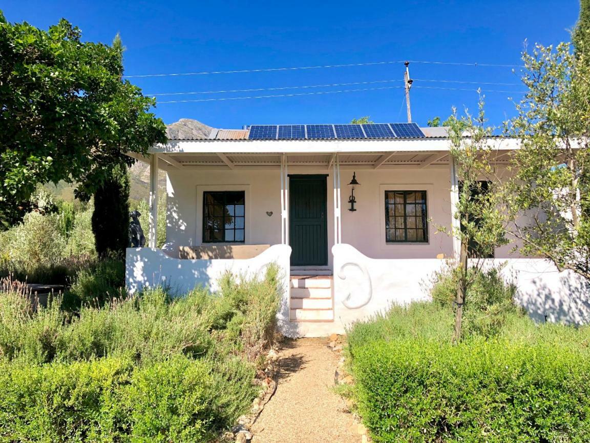 Designer Farm Cottage On Farm 弗朗斯胡克 外观 照片