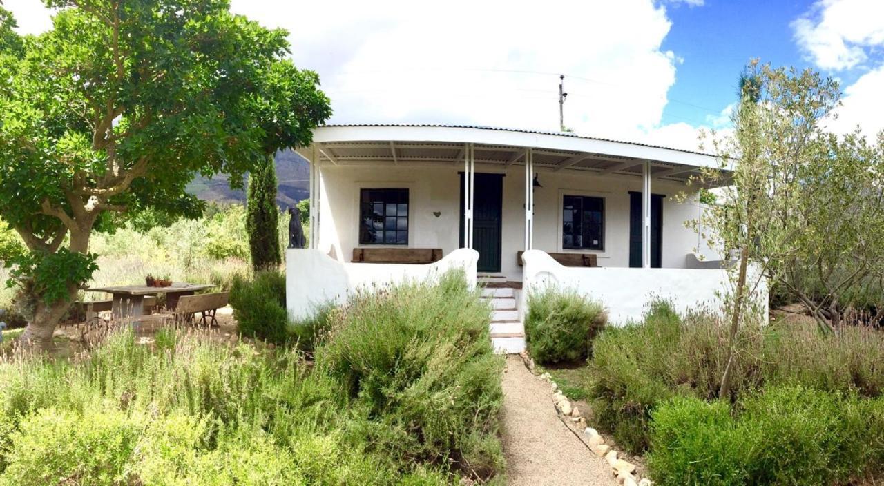 Designer Farm Cottage On Farm 弗朗斯胡克 外观 照片